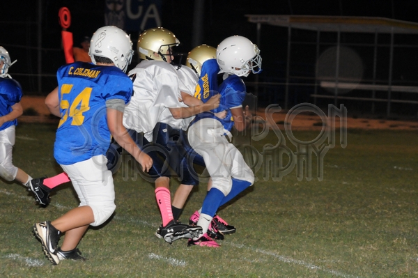 9-18 CAvsHCS 035.JPG - MCKEEGAN D300S #1